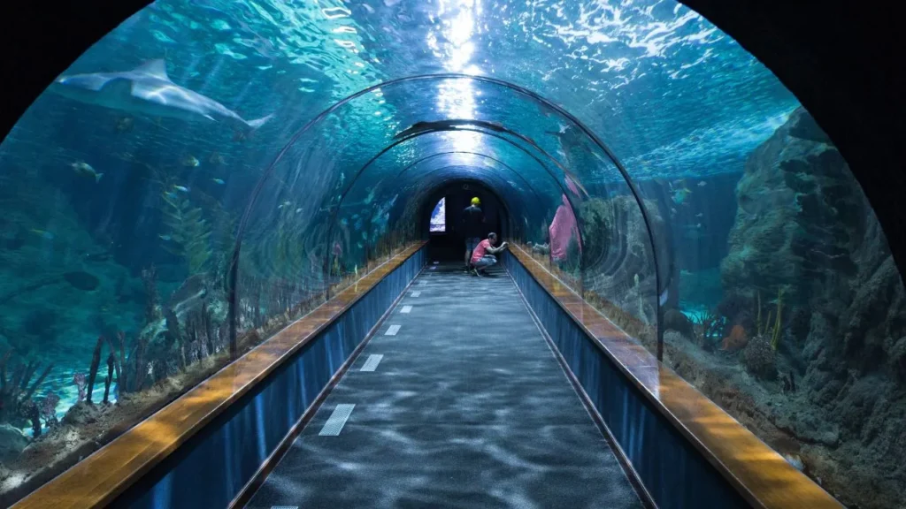 Bangalore Aquarium 
