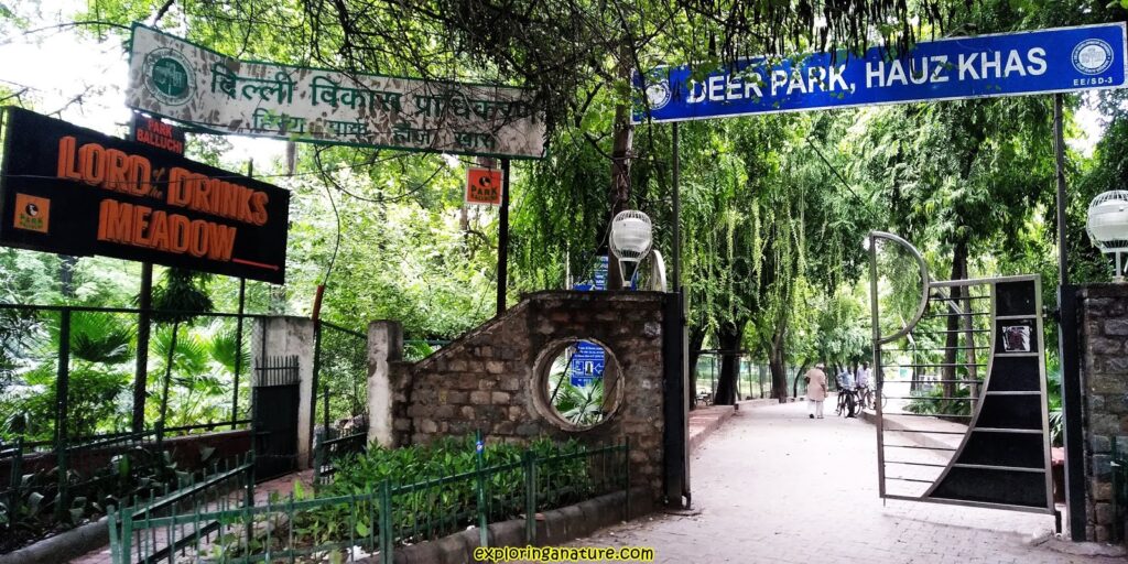 Deer Park Hauz Khas Delhi 