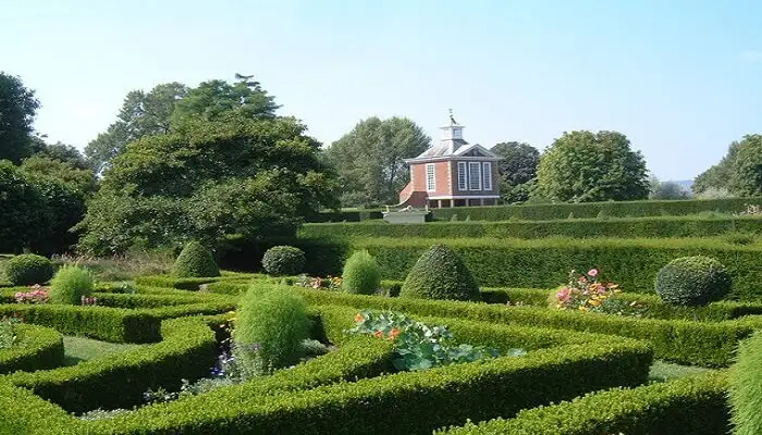 Dutch Garden Surat 