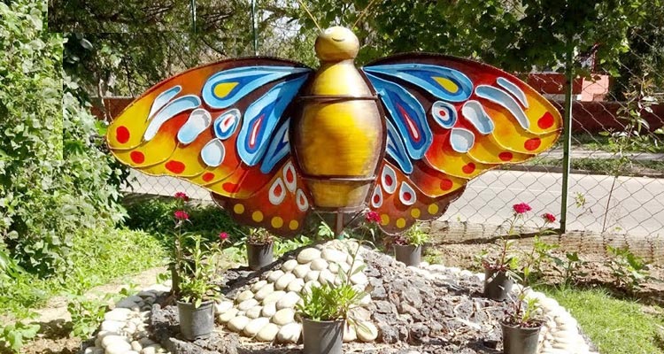 Butterfly Park Chandigarh 