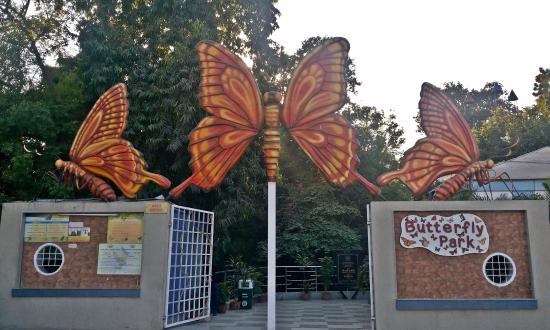 Butterfly Park Ahmedabad 