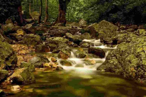 Tada Water Falls Chittoor