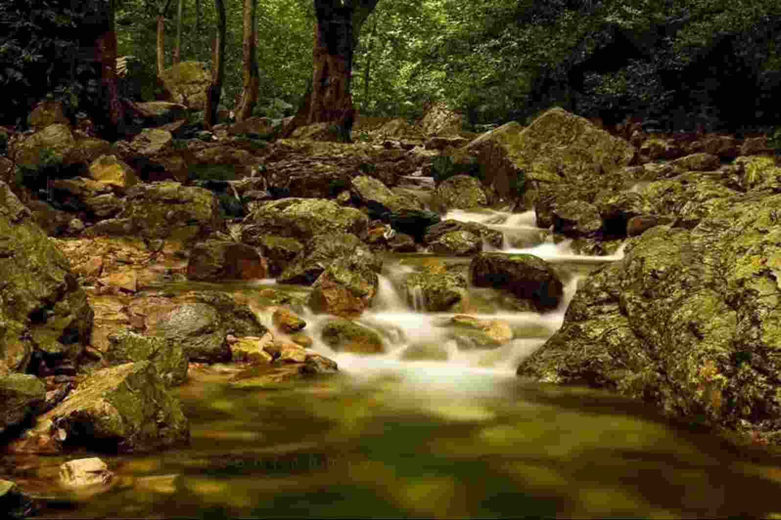 Tada Water Falls Chittoor