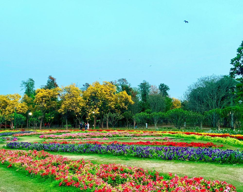 Nehru Park Delhi 