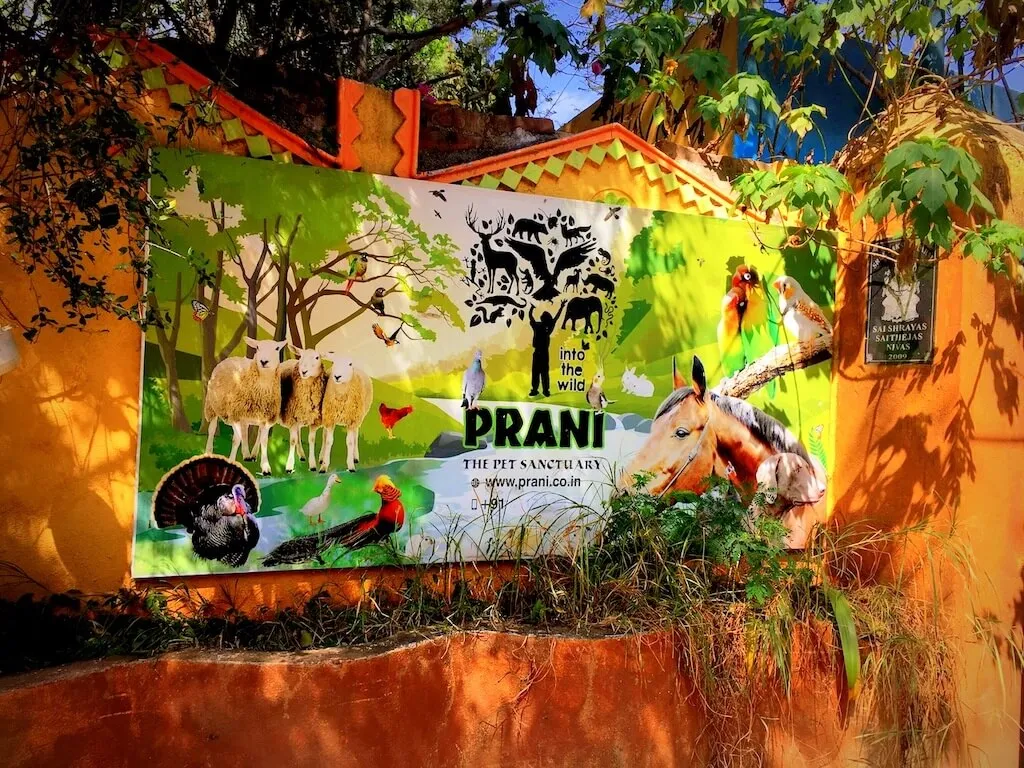 Prani: The Pet Sanctuary Bangalore 