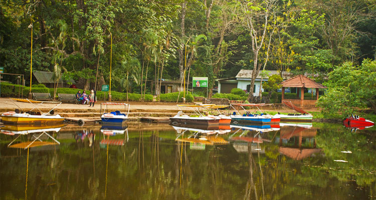 Pookode Lake Kerala 