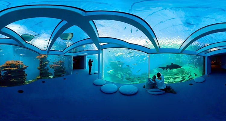 Taraporewala Aquarium Mumbai 